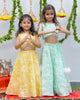 Sea Green Embroidered Tissue Lengha set