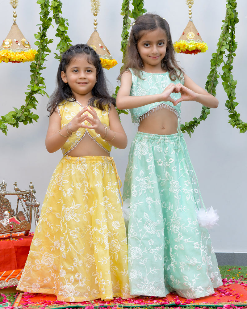 Yellow Embroidered Tissue Lengha set
