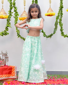  Sea Green Embroidered Tissue Lengha set