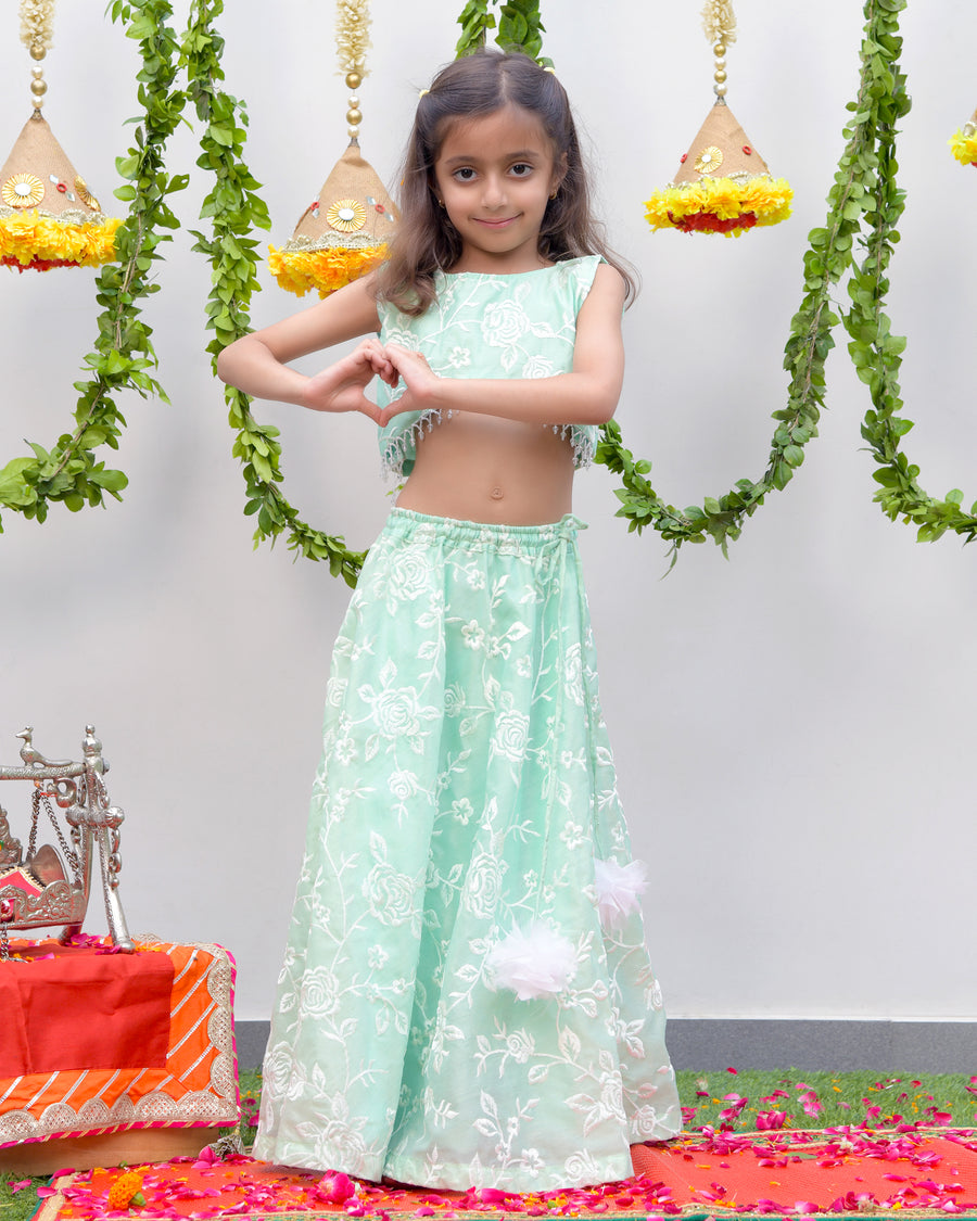 Sea Green Embroidered Tissue Lengha set