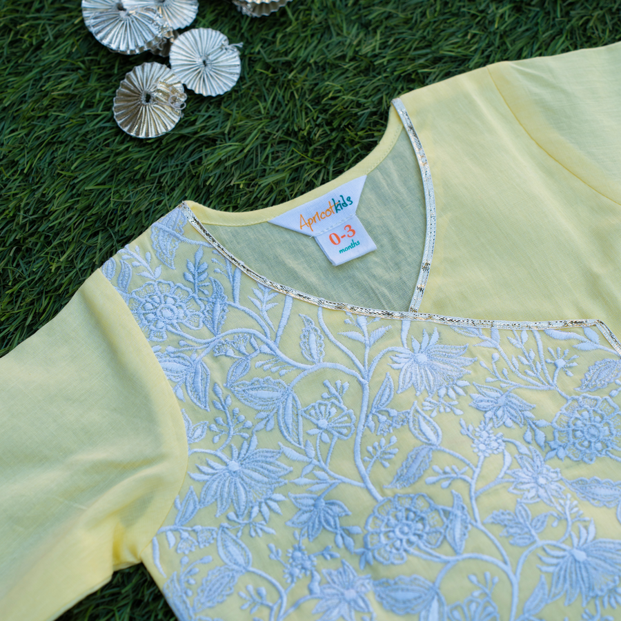 Yellow Jaal Embroidered Jaamna