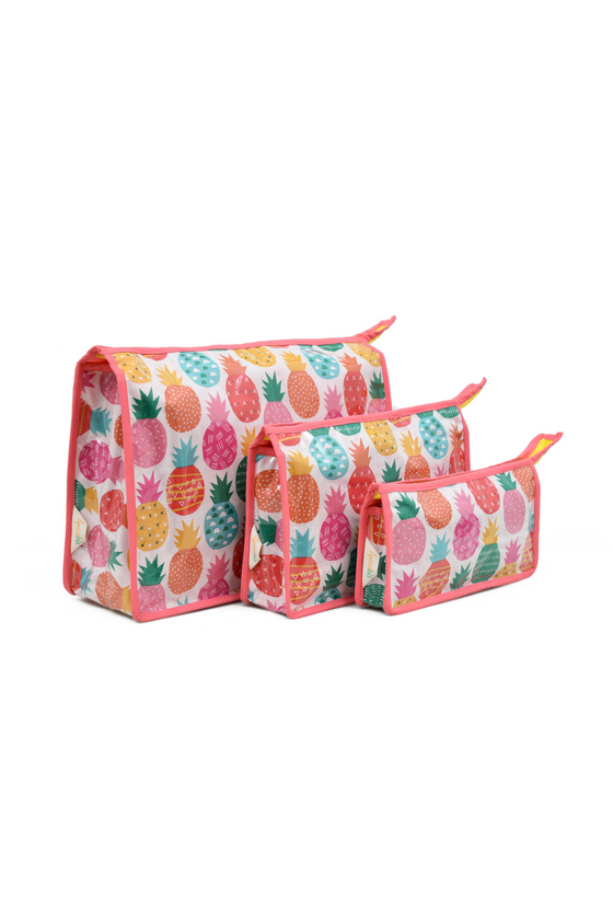 Pouch Set- Pineapple