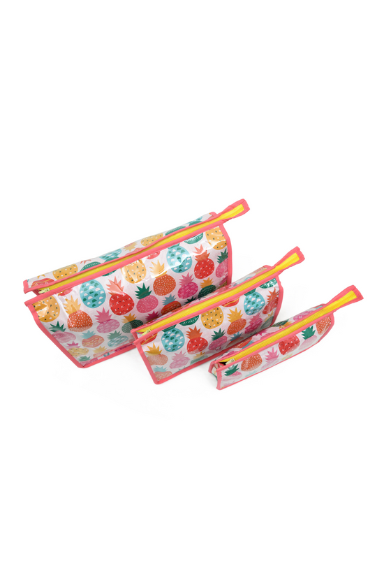 Pouch Set- Pineapple