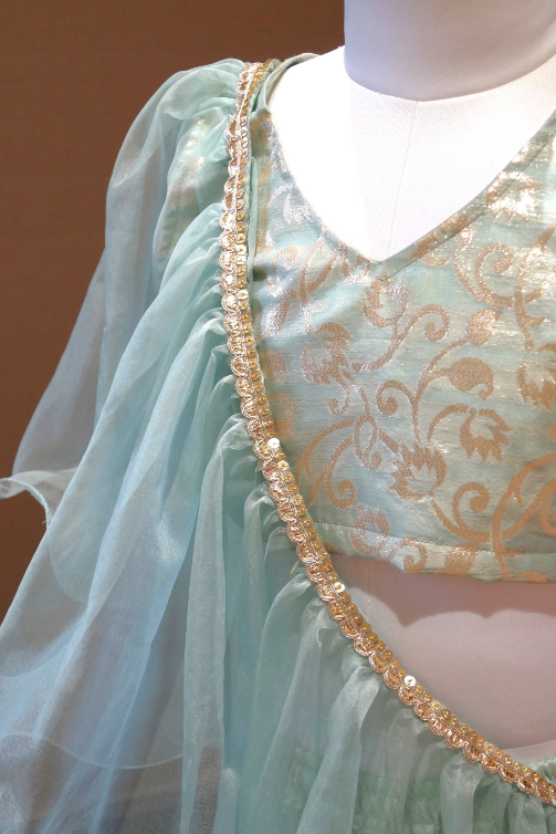 Blue Organza Lengha