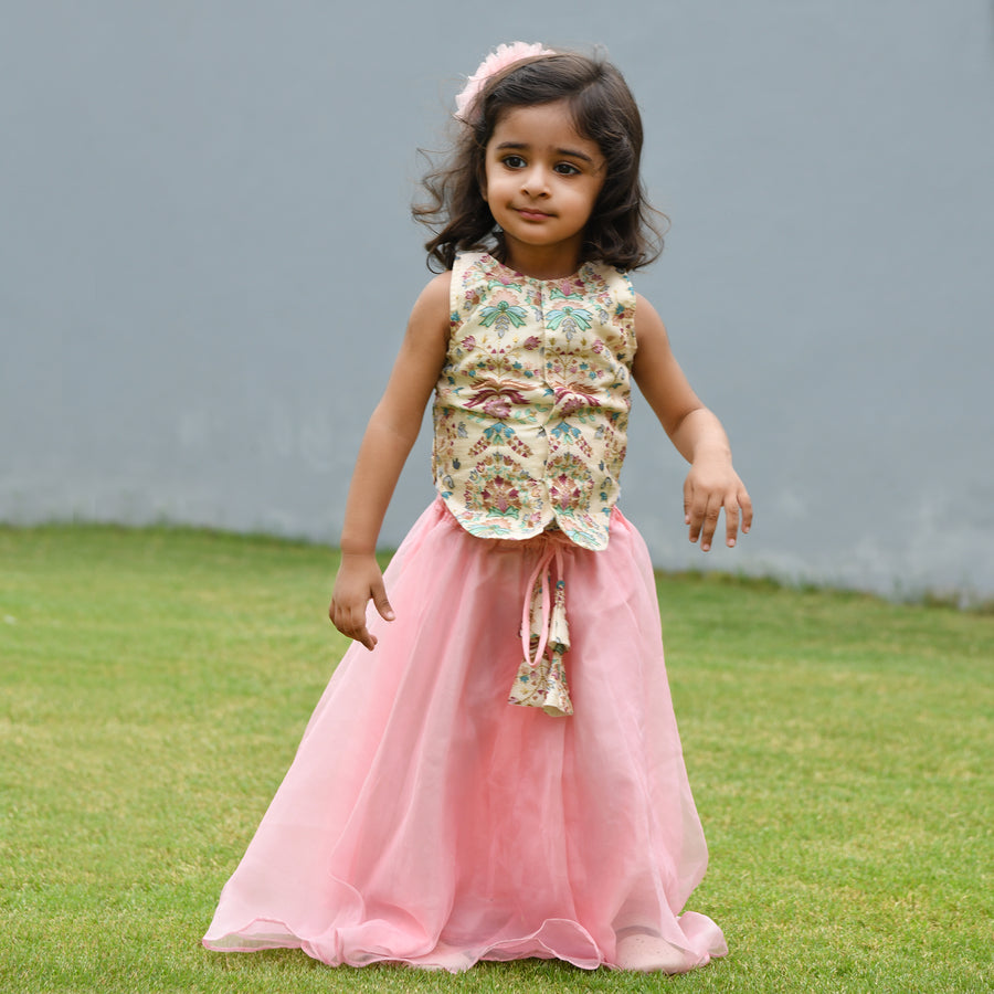 Pink Organza Embroidered Floral Solid Lehenga With Blouse