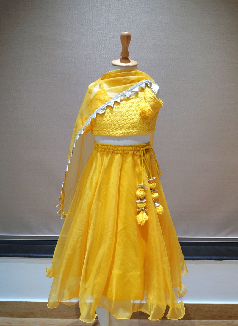 Yellow Organza Lengha