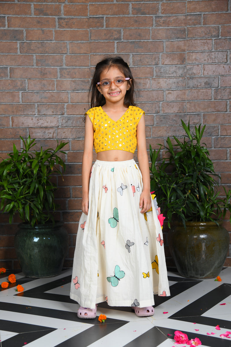 off white butterfly embroidered skirt with sequin embroidered top