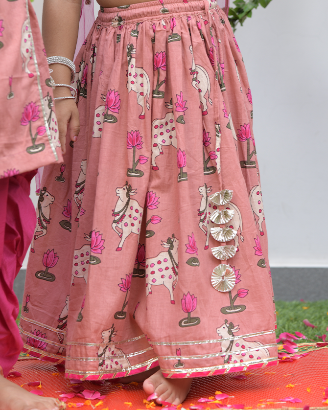 Pink Pichwai Lengha set